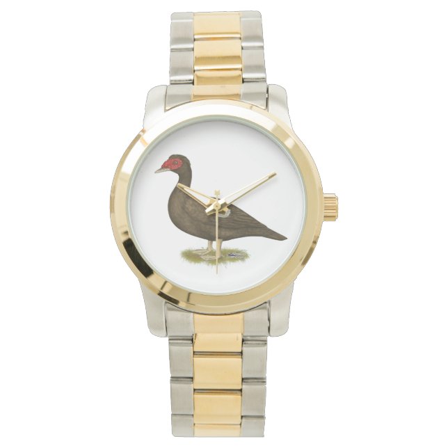 Muscovy Duck Chocolate Watch (Front)