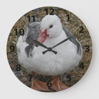 Muscovy Duck Clock