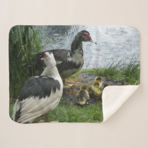 Muscovy Duck Family Sherpa Blanket