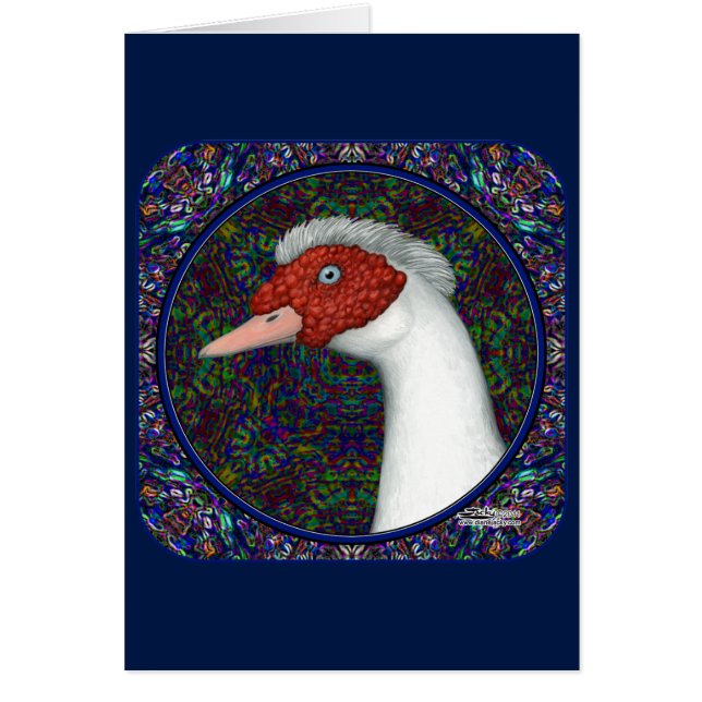 Muscovy Duck Head White (Front)