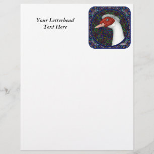Muscovy Duck Head White