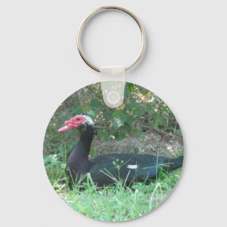 Muscovy Duck Key Ring