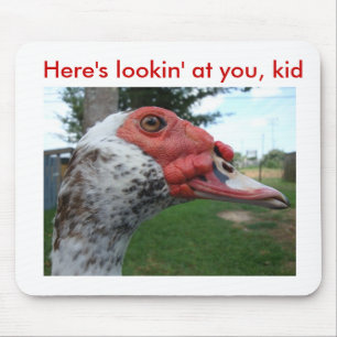 Muscovy Duck mousepad