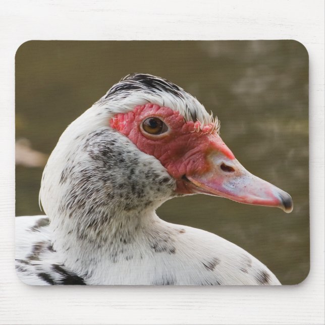 Muscovy Duck Mousepad (Front)