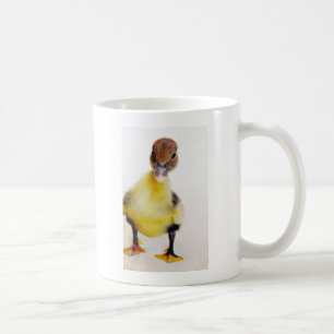 Muscovy Duckling Coffee Mug