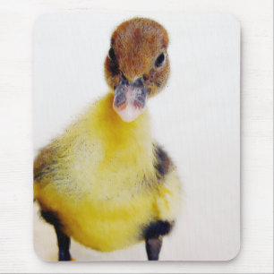 Muscovy Duckling Mouse Mat