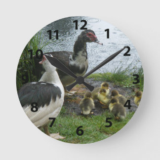 Muscovy Ducks And Ducklings Wall Clock