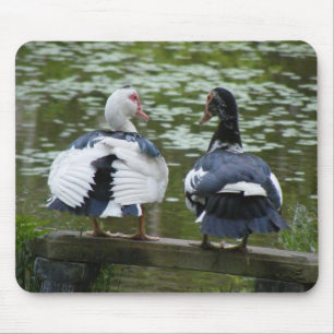 Muscovy Ducks Mouse Mat
