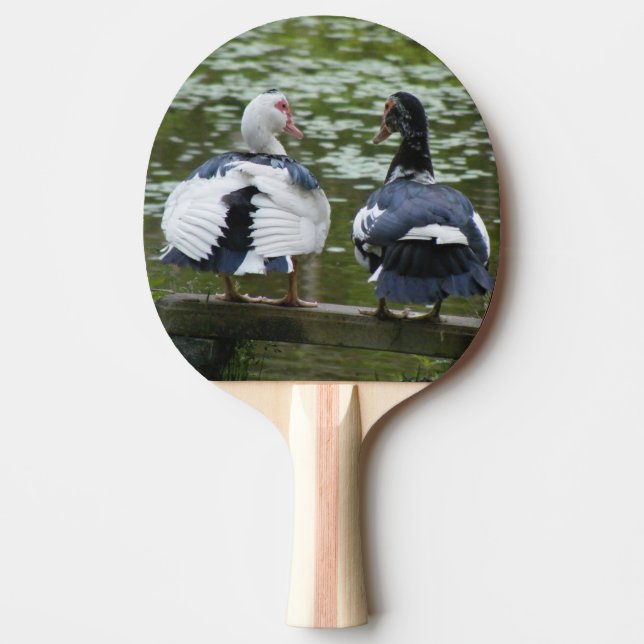 Muscovy Ducks Sitting On An Ornament Paddle (Front)