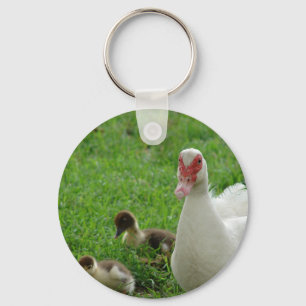 Muscovy Hen And Ducklings Key Ring