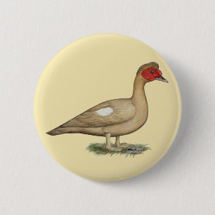 Muscovy Light Chocolate Drake 6 Cm Round Badge