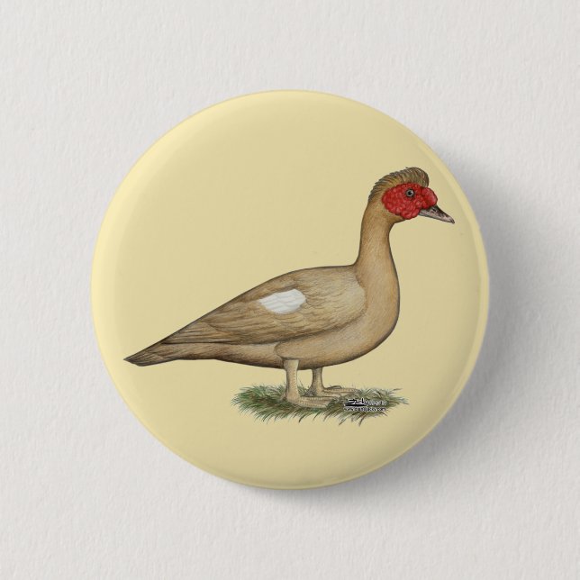 Muscovy Light Chocolate Drake 6 Cm Round Badge (Front)