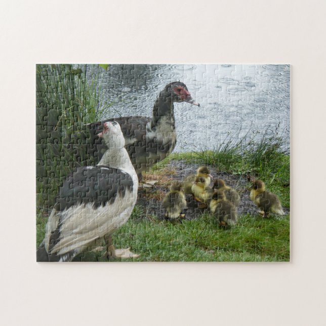 Muscovy Moms And Ducklings Puzzle (Horizontal)