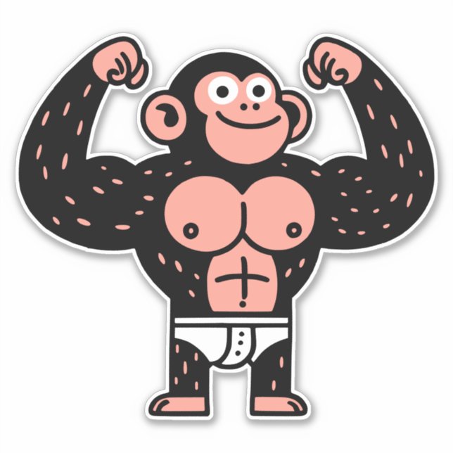 Muscular (Front)