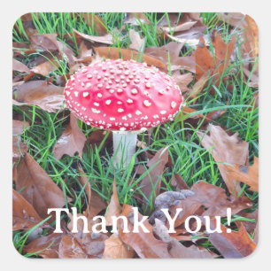 muscular square sticker