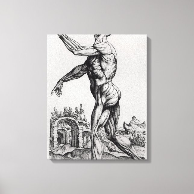Musculature Structure of a Man (b/w neg & print) Canvas Print (Front)