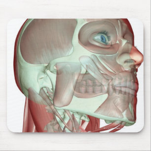 Musculoskeleton of the Head and Neck 3 Mouse Mat