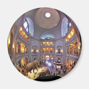Museum of Natural History Magnet