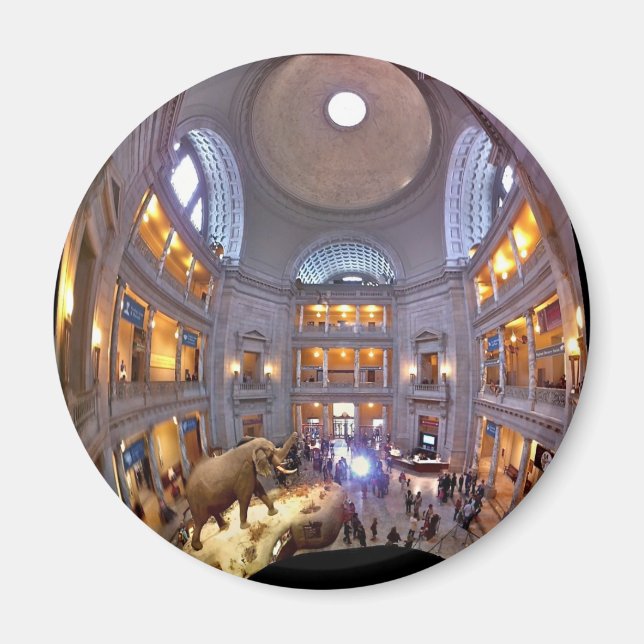 Museum of Natural History Magnet (Front)