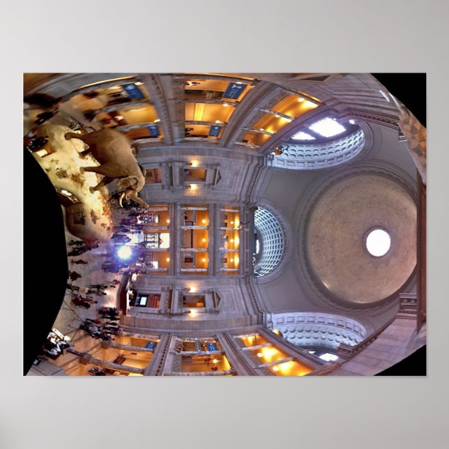 Museum of Natural History Poster (Front)