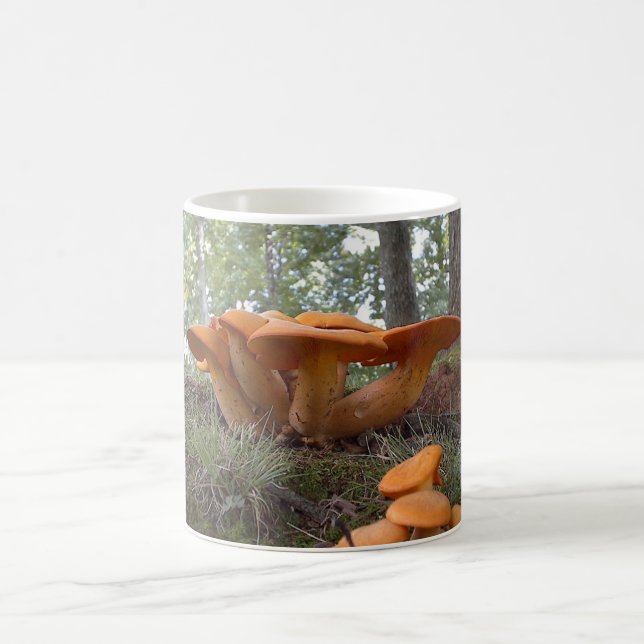 Mushroom 13 Mug (Center)