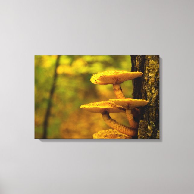 MUSHROOM BEAUTY CANVAS PRINT (Front)