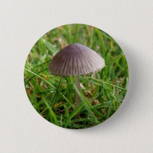 Mushroom Button