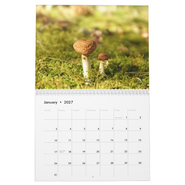 Mushroom Calendar (Jan 2027)