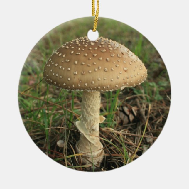 Mushroom Ceramic Tree Decoration (Front)