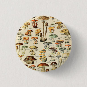Mushroom Collection 3 Cm Round Badge