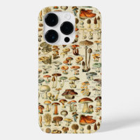 Mushroom Collection