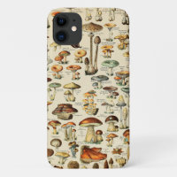 Mushroom Collection