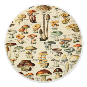 Mushroom Collection Ceramic Knob