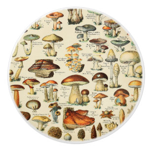 Mushroom Collection    Ceramic Knob