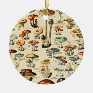 Mushroom Collection   Ceramic Tree Decoration