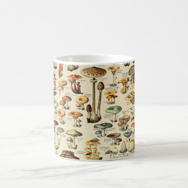 Mushroom Collection  Coffee Mug (Center)