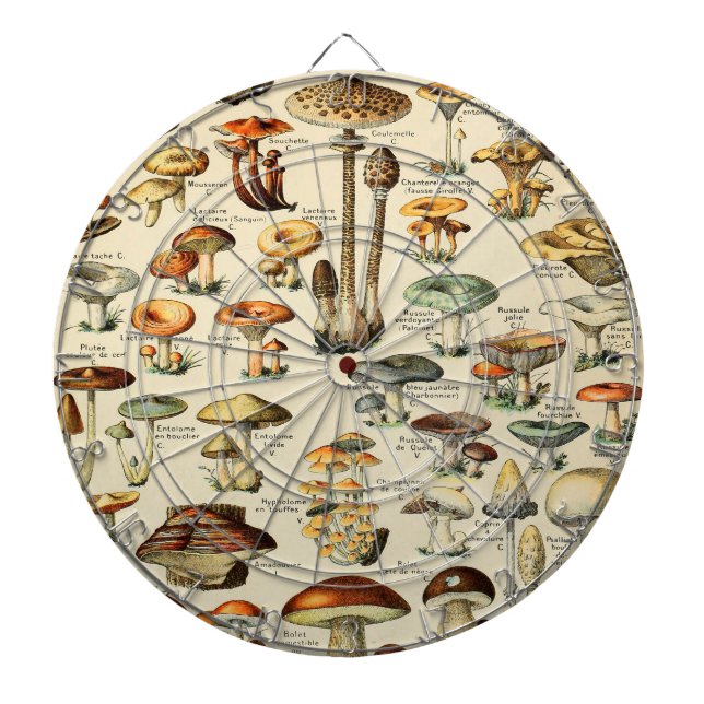 Mushroom Collection   Dartboard (Front)