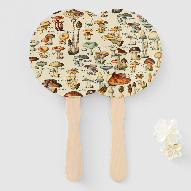 Mushroom Collection    Hand Fan (Front and Back)
