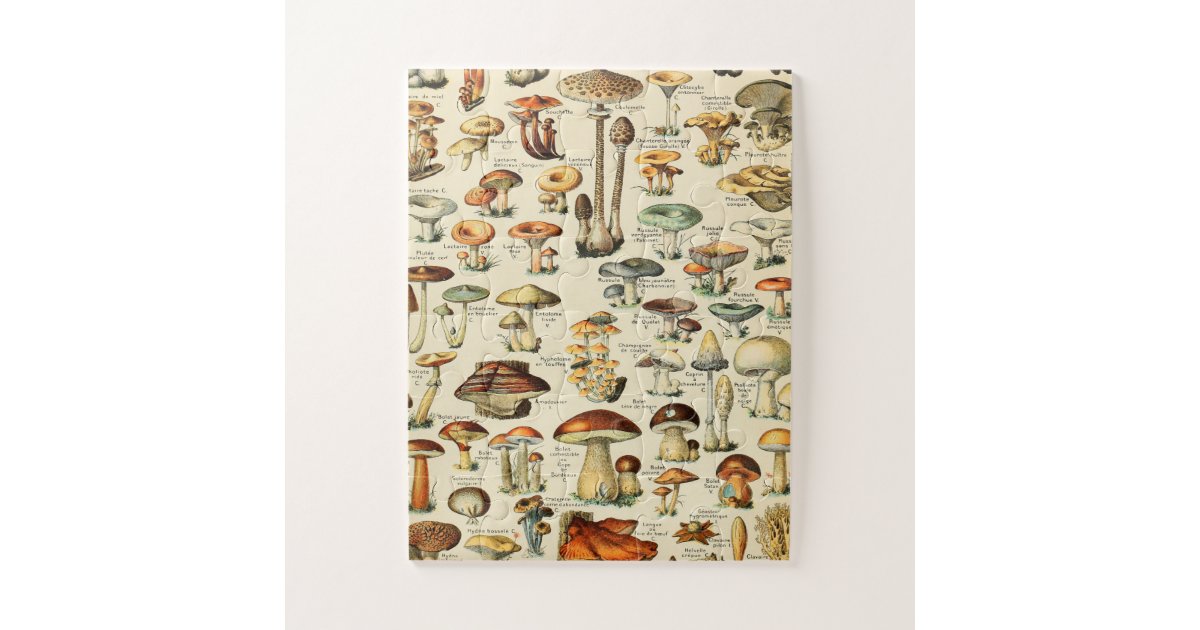 Mushroom Collection Jigsaw Puzzle | Zazzle