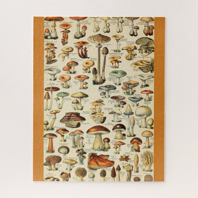 Mushroom Collection Jigsaw Puzzle (Vertical)