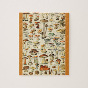 Mushroom Collection Jigsaw Puzzle