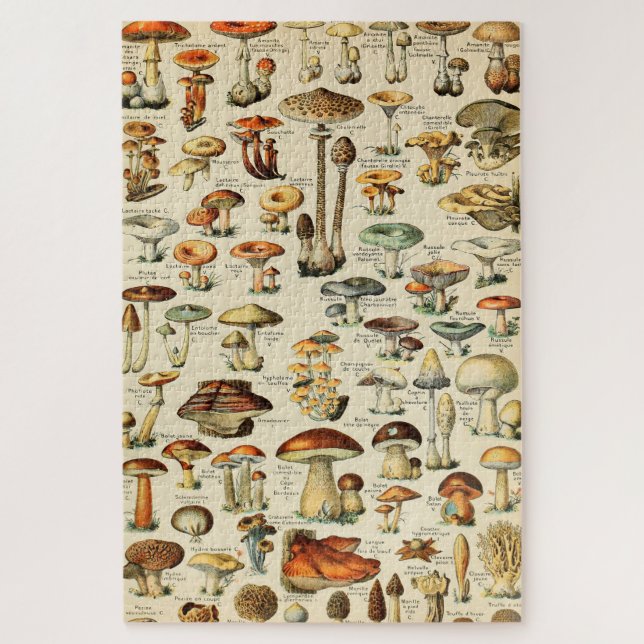 Mushroom Collection Jigsaw Puzzle (Vertical)