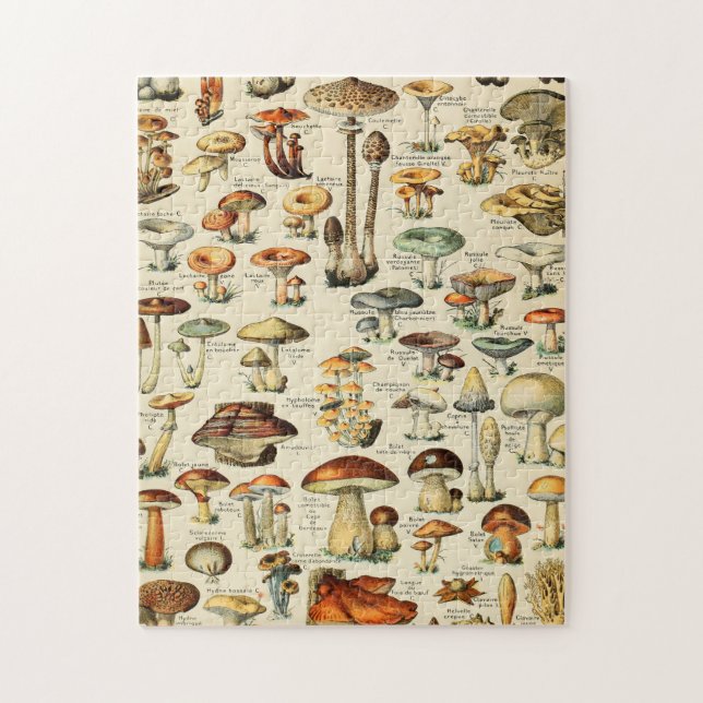 Mushroom Collection Jigsaw Puzzle (Vertical)