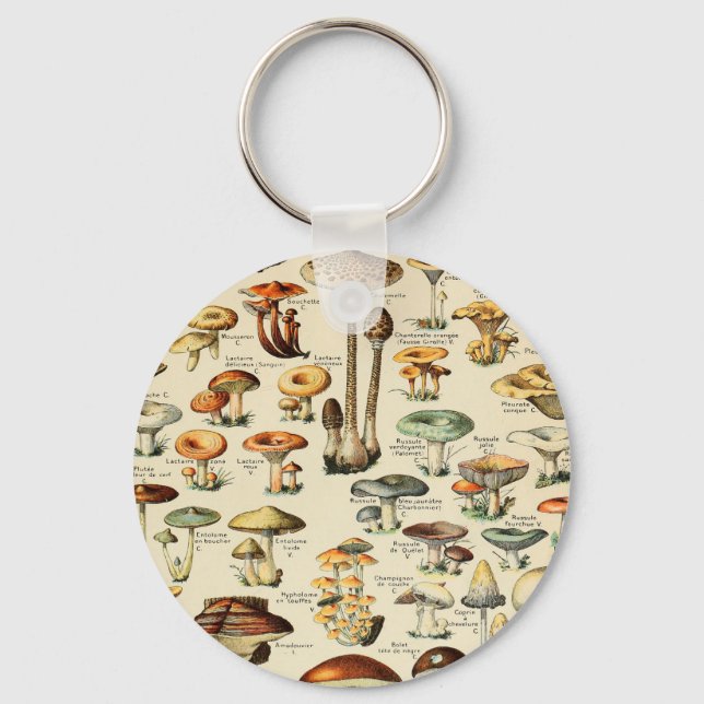 Mushroom Collection     Key Ring (Front)