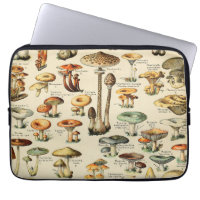 Mushroom Collection