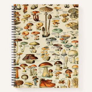 Mushroom Collection Notebook