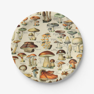 Mushroom Collection  Paper Plate