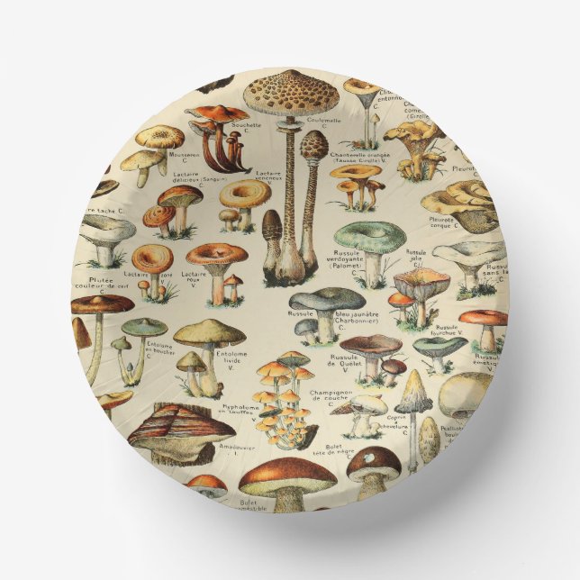 Mushroom Collection   Paper Plate (Front)