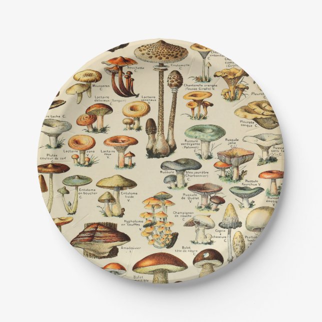 Mushroom Collection Paper Plate (Front)