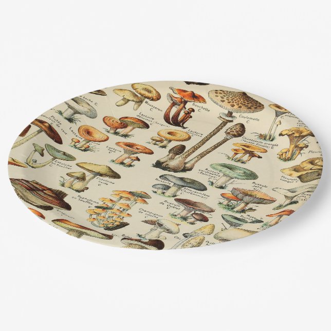 Mushroom Collection  Paper Plate (Angled)